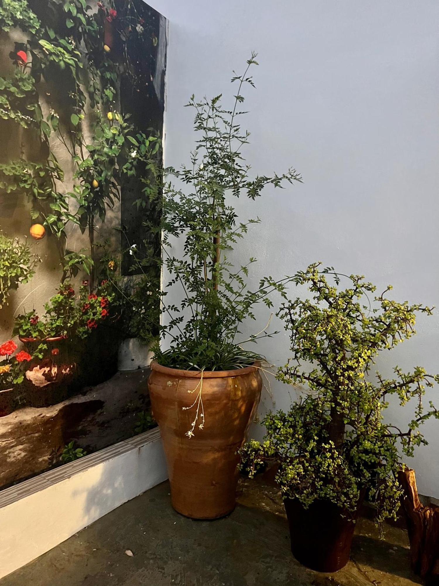 Casa Rural Las Casillas مالقة المظهر الخارجي الصورة